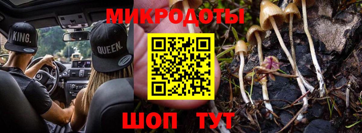 Галлюциногенные грибы Psilocybine cubensis  Вход с VPN  Когалым 
