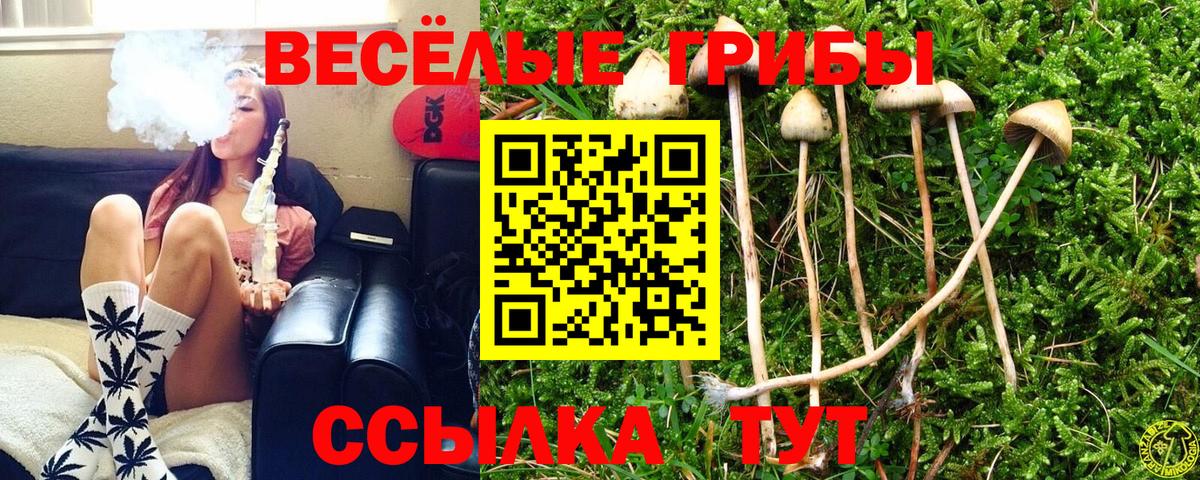 Псилоцибиновые грибы мицелий Когалым